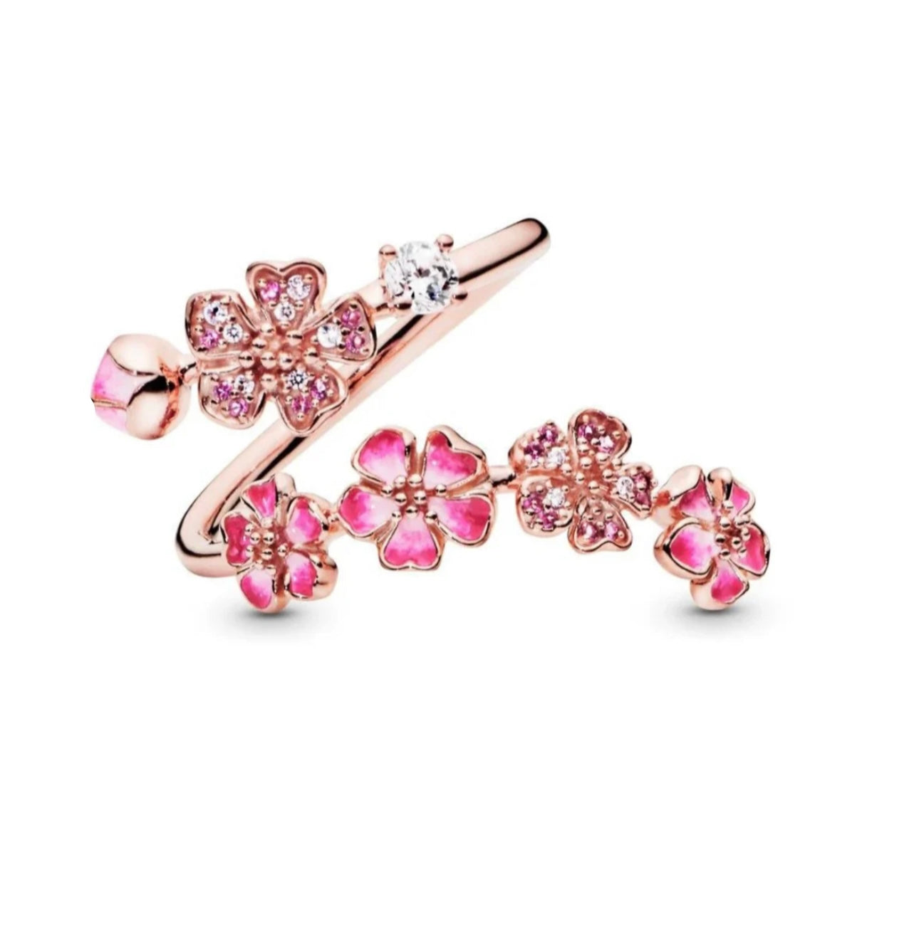 Signature Rings